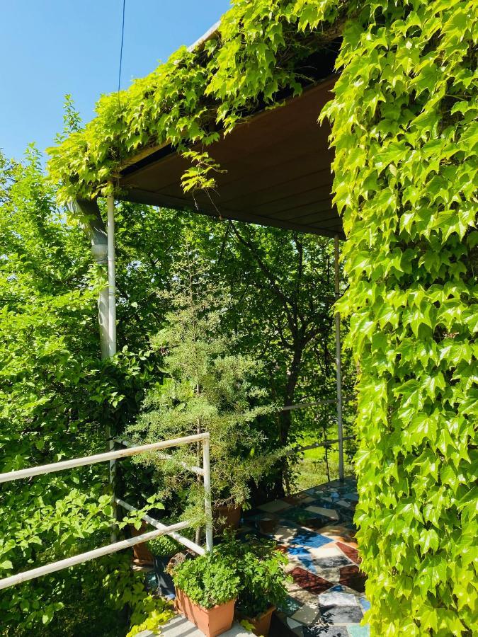 Green House Hotel Lagodekhi Bagian luar foto